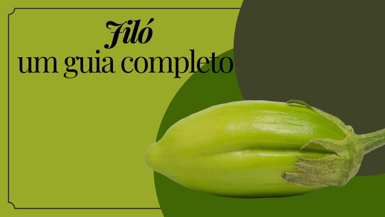 Homepage Cook Mania 25 jiló um guia completo