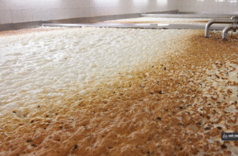 Cookmania: Receitas Deliciosas, Dicas de Culinária e Gastronomia Completa 26 Fermentação de cerveja artesanal