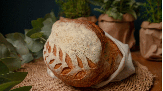 Homepage Cook Mania 19 pão fermentação natural (1)