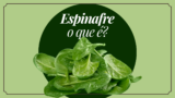 Espinafre: tudo o que você precisa saber