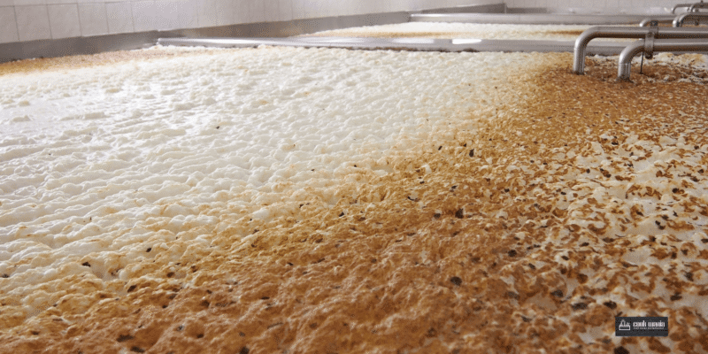 Blog layout 19 Fermentação em Cervejas Artesanais: A Ciência por Trás do Sabor