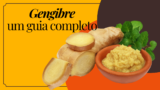 Guia completo sobre o gengibre: benefícios para a saúde, como preparar e dicas de consumo