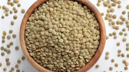 Cookmania: Receitas Deliciosas, Dicas de Culinária e Gastronomia Completa 14 Lentilha: O Grão da Sorte e da Saúde