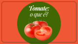 Guia rápido sobre tomate: tipos, preparo e armazenamento