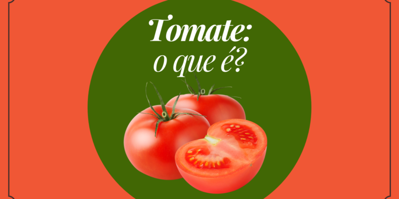 Blog layout 15 Guia rápido sobre tomate: tipos, preparo e armazenamento