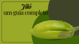Jiló: tudo o que você precisa saber sobre essa iguaria