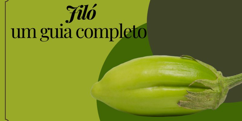Blog layout 21 Jiló: tudo o que você precisa saber sobre essa iguaria