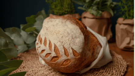 Cookmania: Receitas Deliciosas, Dicas de Culinária e Gastronomia Completa 13 Fermentação Natural em Pães Artesanais