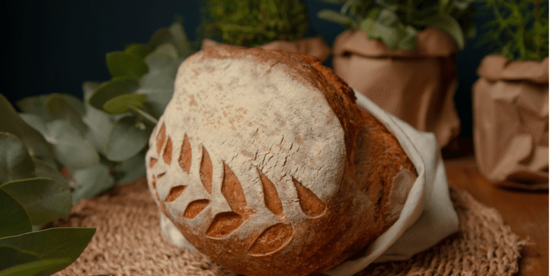 Blog layout 1 Fermentação Natural em Pães Artesanais