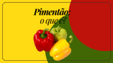 Pimentão: um ingrediente versátil em diversas receitas