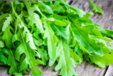 Rúcula: O Verde Aromático que Eleva Qualquer Prato